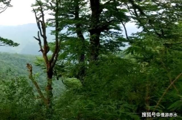 拯救过生日的女孩